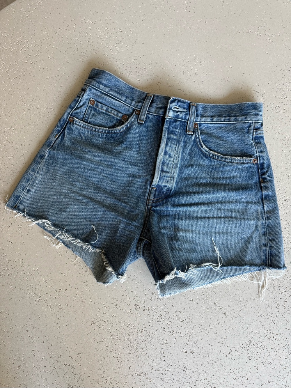 Agolde Parker  High-Rise Shorts